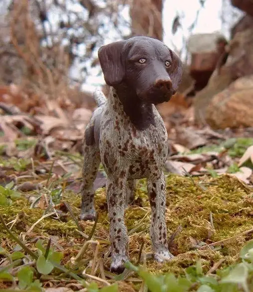 german-shorthaired-pointer